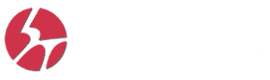 STI Infotech